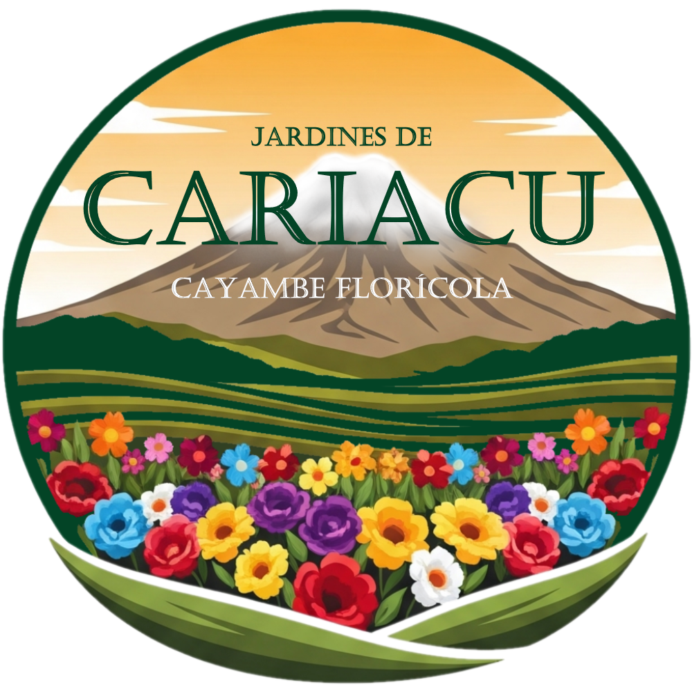 Comunidad Cariacu