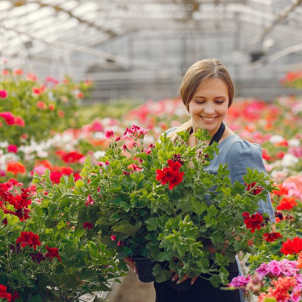 Woman in a black apron working in a greenhouse