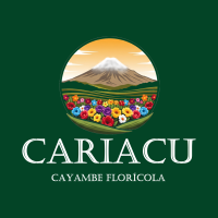 Logo2 Grande Cariacu Verde